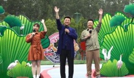 锦江酒店爆料视频最新版,揭露惊人内幕，真相令人震惊！